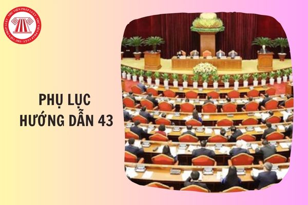 PHỤ LỤC Hướng dẫn 43-HD/BTCTW 2025 về kiểm điểm và đánh giá, xếp loại chất lượng đối với tập thể, cá nhân trong hệ thống chính trị thế nào?