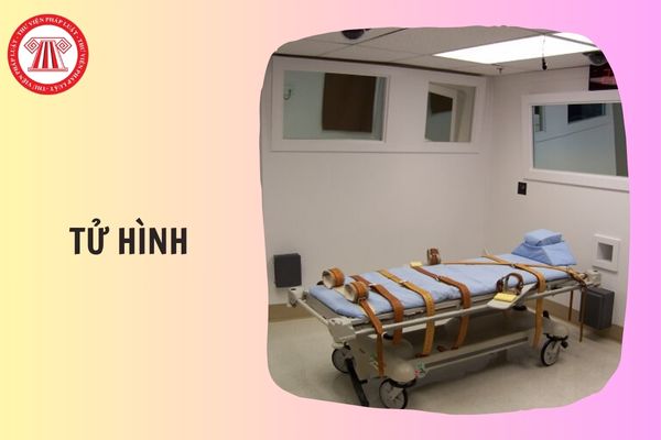Mẫu 01 Đơn xin ân giảm hình phạt tử hình từ 15/11/2025 chi tiết thế nào?