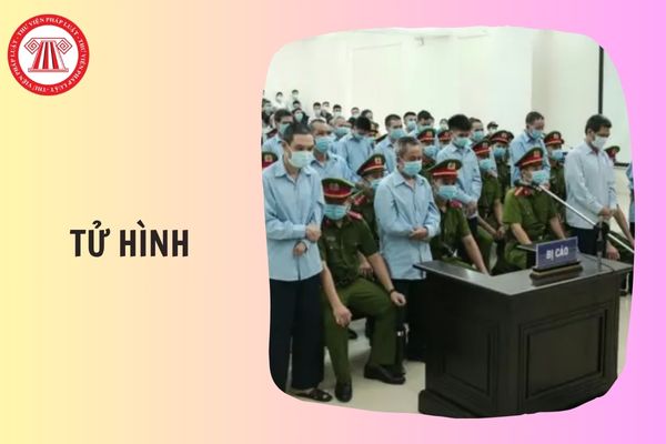 Hỏi đáp Pháp luật