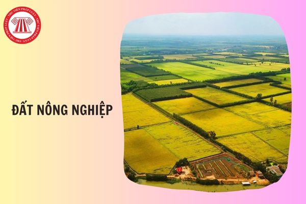 Đối tượng nào được miễn thuế toàn bộ diện tích đất nông nghiệp?
