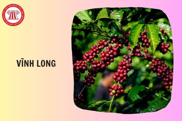 Mã ngành nghề kinh doanh trồng cây cà phê là bao nhiêu theo Quyết định 36?
