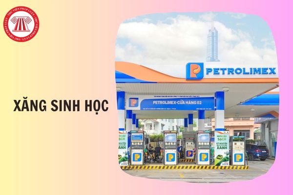 TOÀN VĂN Thông tư 50/2025/TT-BCT quy định về lộ trình áp dụng xăng sinh học E10 trên toàn quốc chi tiết thế nào?