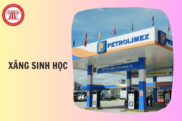 Hỏi đáp Pháp luật
