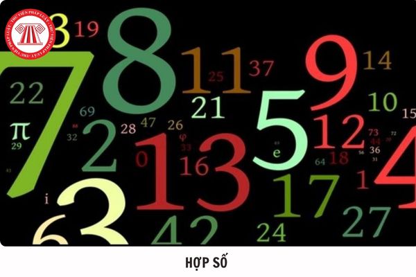 Hỏi đáp Pháp luật