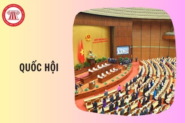 Hỏi đáp Pháp luật