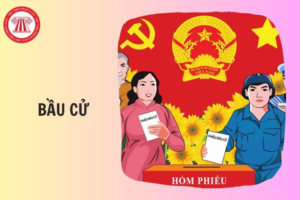 Hỏi đáp Pháp luật