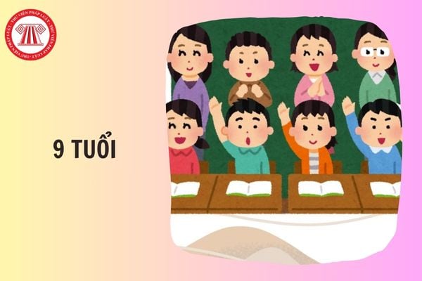 Hỏi đáp Pháp luật