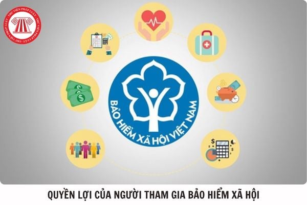 Pháp luật
