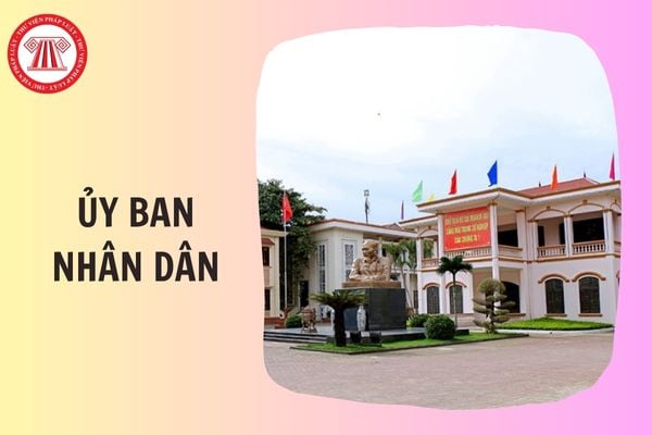 Hỏi đáp Pháp luật