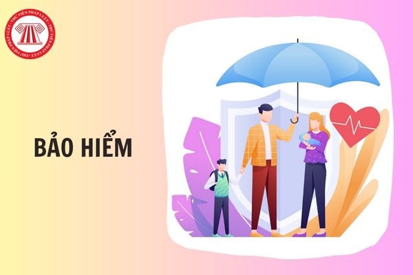 Hỏi đáp Pháp luật