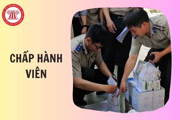 Hỏi đáp Pháp luật