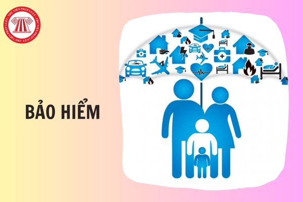 Hỏi đáp Pháp luật