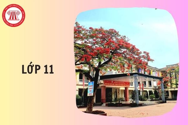 Hỏi đáp Pháp luật