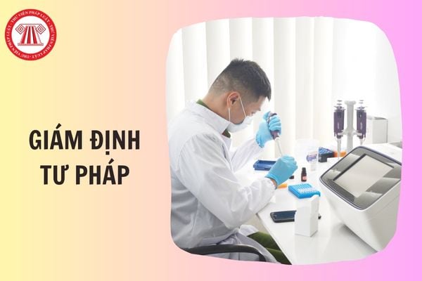 Hỏi đáp Pháp luật