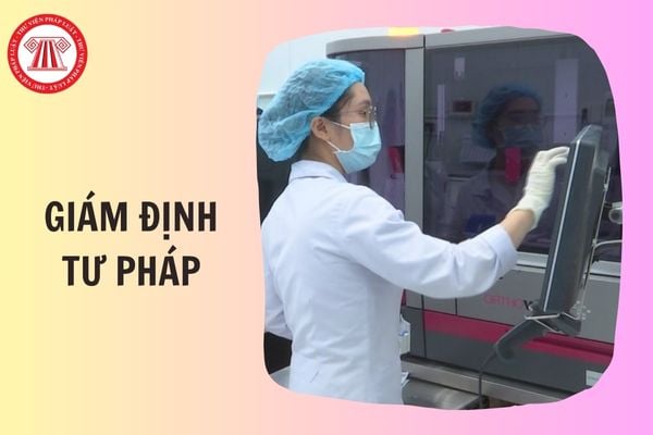 Hỏi đáp Pháp luật