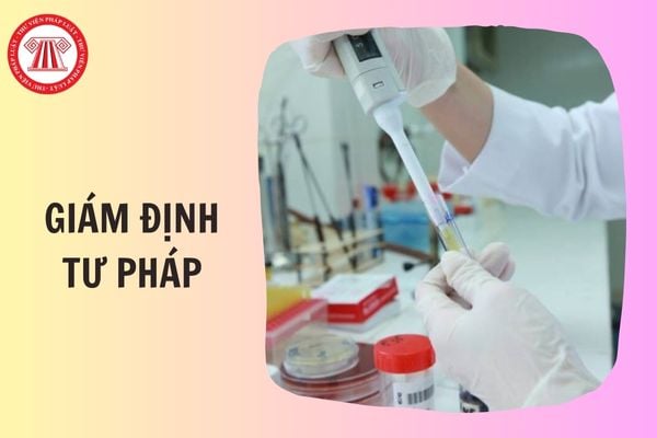 Hỏi đáp Pháp luật
