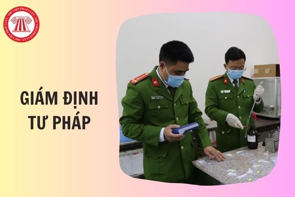 Hỏi đáp Pháp luật