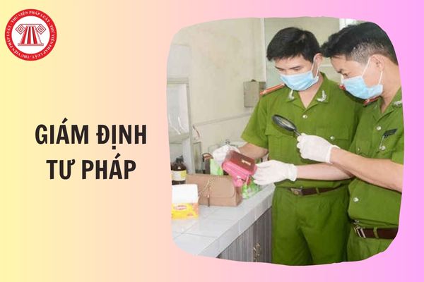 Hỏi đáp Pháp luật
