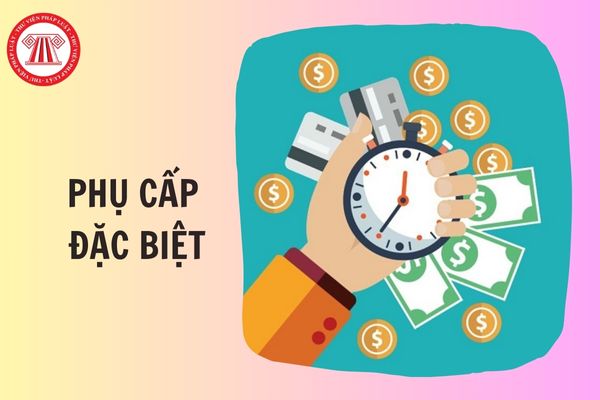 TOÀN VĂN Thông tư 24/2025/TT-BNV sửa đổi Thông tư 09/2005/TT-BNV về chế độ phụ cấp đặc biệt đối với cán bộ, công chức, viên chức, lực lượng vũ trang thế nào?