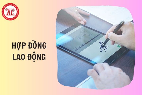 Hỏi đáp Pháp luật