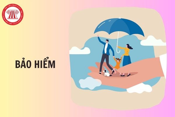 Hỏi đáp Pháp luật