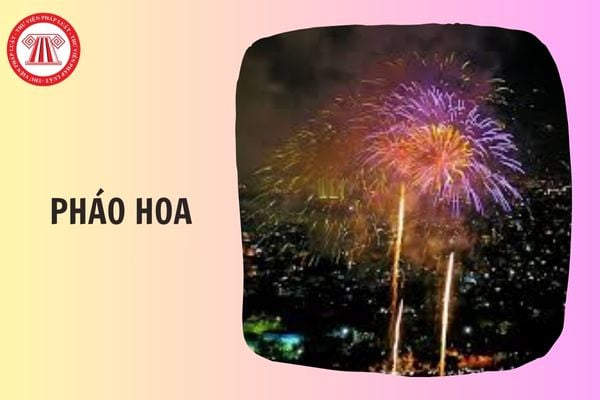 Lịch bắn pháo hoa Tết Nguyên đán 2026 tỉnh Vĩnh Long chi tiết thế nào?