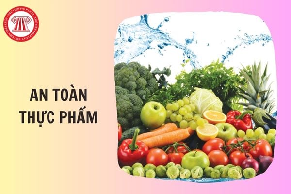 TOÀN VĂN Thông tư 48/2025/TT-BYT về phân cấp thực hiện nhiệm vụ và giải quyết TTHC trong lĩnh vực an toàn thực phẩm thế nào?