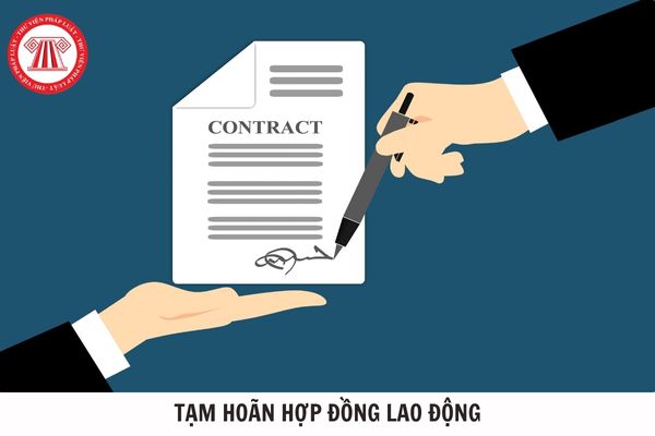 Hỏi đáp Pháp luật