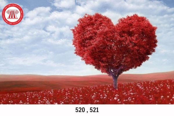 520 là gì? 521 là gì? Chế độ hôn nhân và gia đình cấm các hành vi nào?