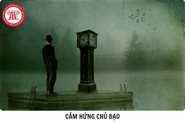 Hỏi đáp Pháp luật
