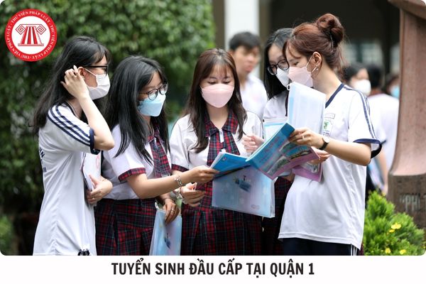 Hỏi đáp Pháp luật