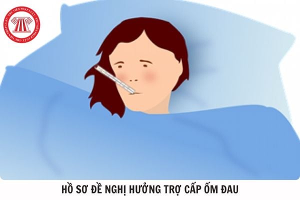 Hỏi đáp Pháp luật