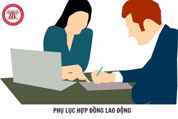 Hỏi đáp Pháp luật