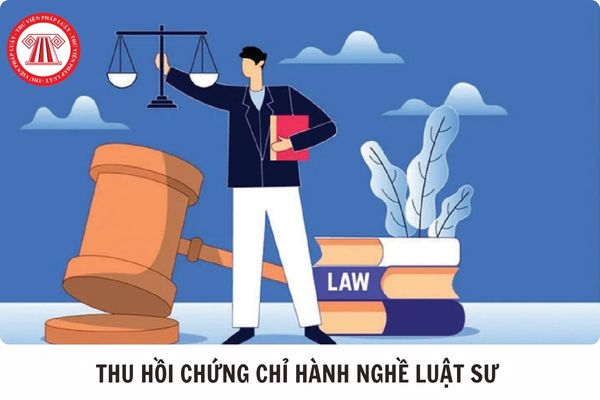 Hỏi đáp Pháp luật