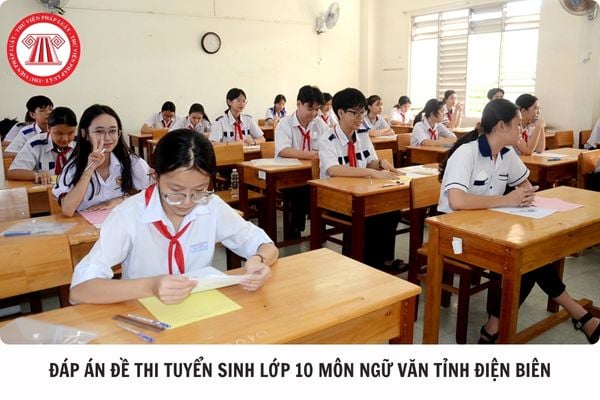 Hỏi đáp Pháp luật