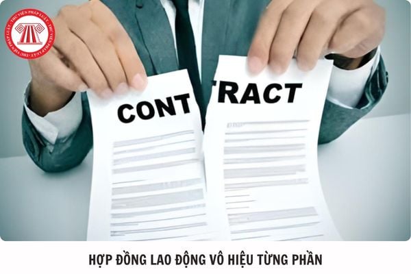 Hỏi đáp Pháp luật