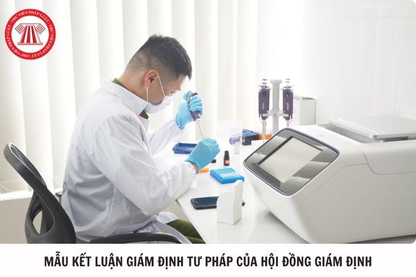 Hỏi đáp Pháp luật