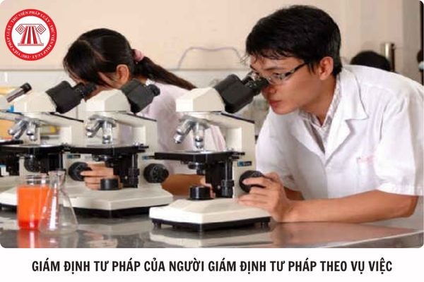 Hỏi đáp Pháp luật