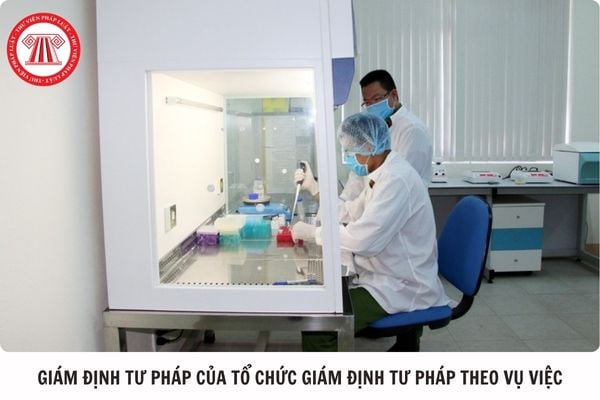 Hỏi đáp Pháp luật