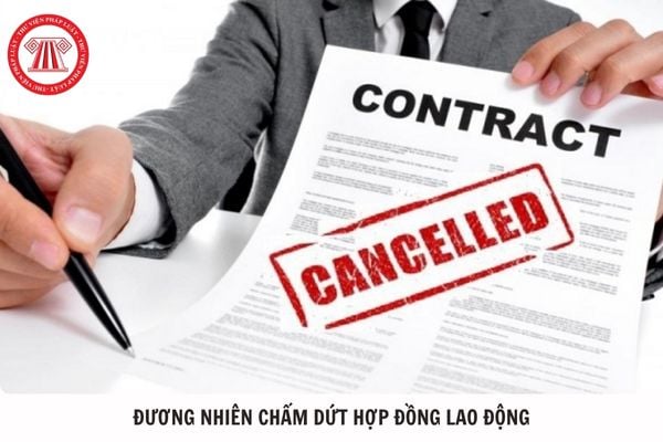 Hỏi đáp Pháp luật