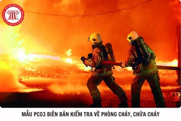 Hỏi đáp Pháp luật