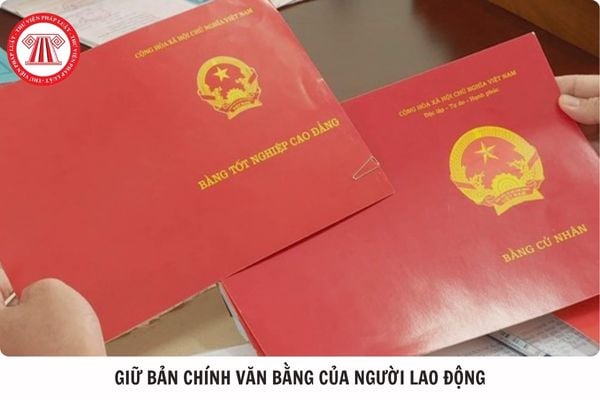 Hỏi đáp Pháp luật