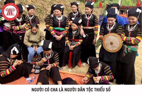 Hỏi đáp Pháp luật