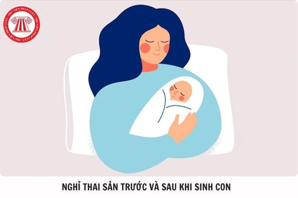 Hỏi đáp Pháp luật