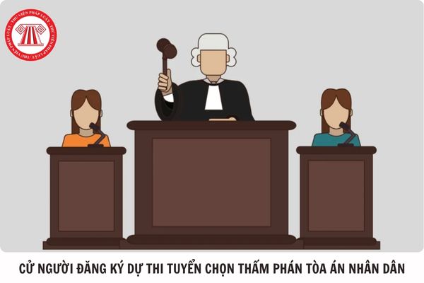 Hỏi đáp Pháp luật