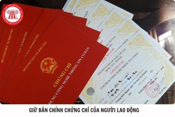 Hỏi đáp Pháp luật