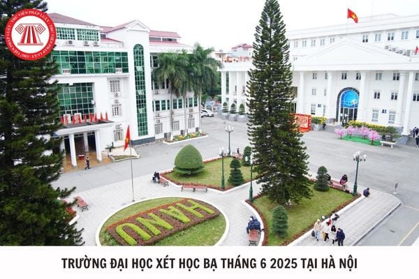 Hỏi đáp Pháp luật