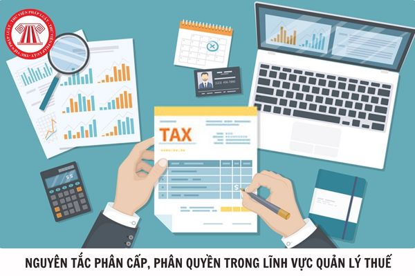 Nguyên tắc phân cấp, phân quyền trong lĩnh vực quản lý thuế như thế nào?