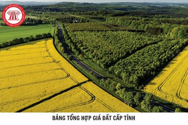 Hỏi đáp Pháp luật