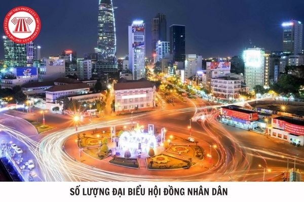 Hỏi đáp Pháp luật